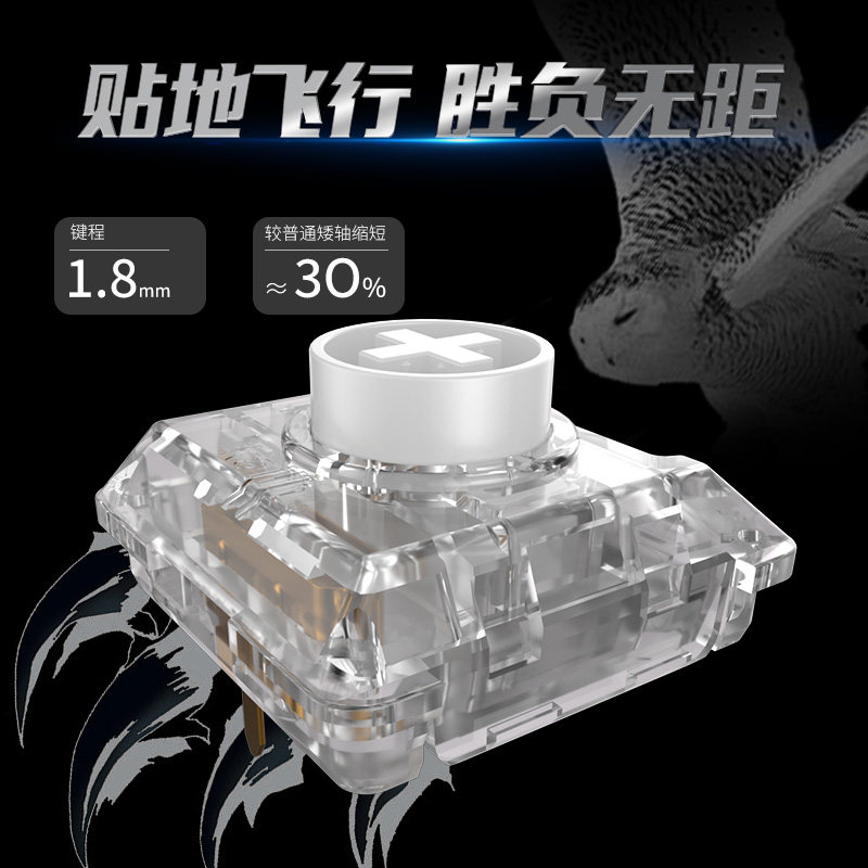 Kailh Choc White Owl Switch Mi – Gaming Accessories White Bewertung und Preis